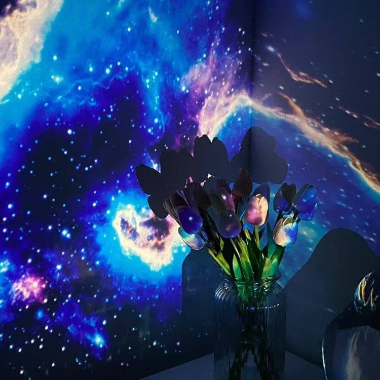 Starry Sky Projector Galaxy Lamp With Fog Effect And LED Colors | Sansoti