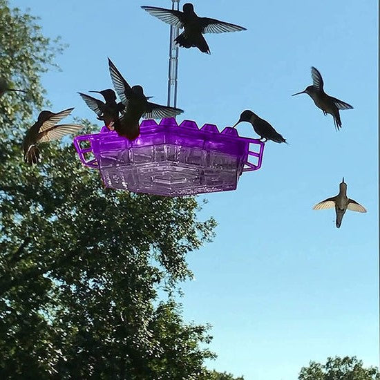 Hanging Hummingbird Feeder Station 350 ml, Ant Protection, 30 Feeding Ports, Diamond-Shaped Openings, Garden Decoration | Sansoti