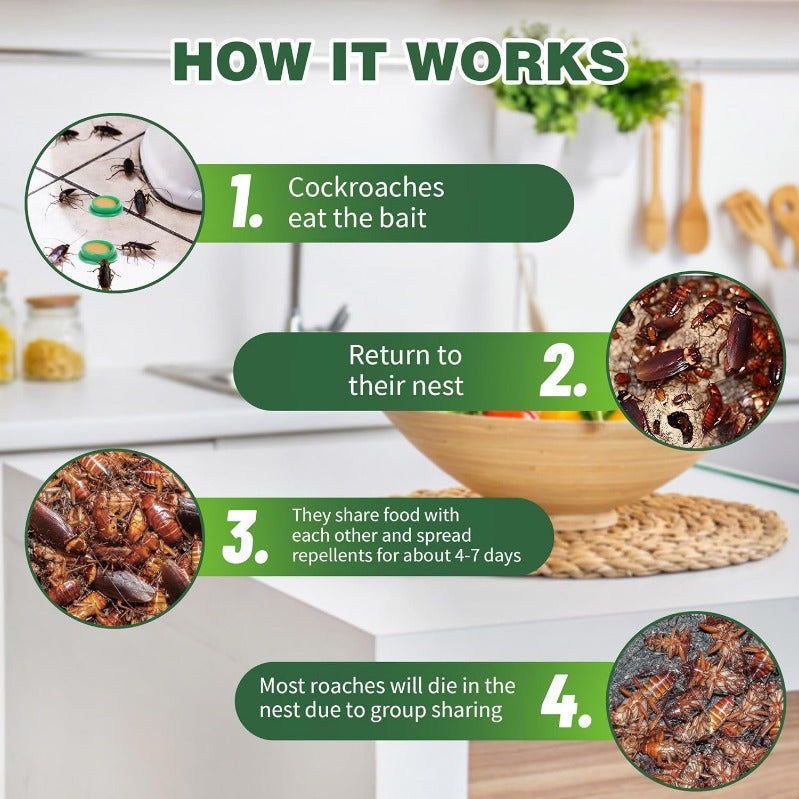 Disc-Shaped Cockroach Bait – Safe for Children & Pets – 12, 24, or 36 Pieces | Sansoti