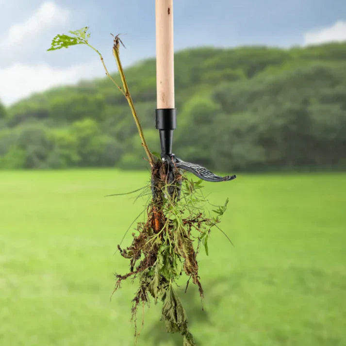 Weed Remover with Root Extractor for Effective Garden Maintenance | Manual Gardening Tool | Sansoti