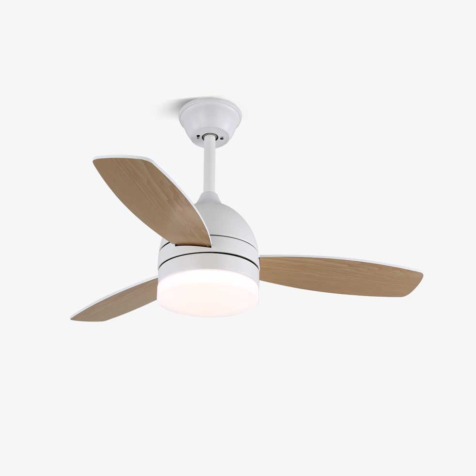 Minimalist Ceiling Fan with Lighting — Selena | Sansoti