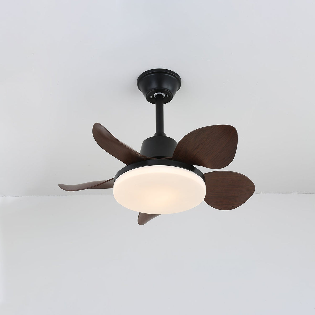 Modern Ceiling Fan Veyra with Lamp and 6 Speeds – Diameter 71 cm – Remote Control | Sansoti