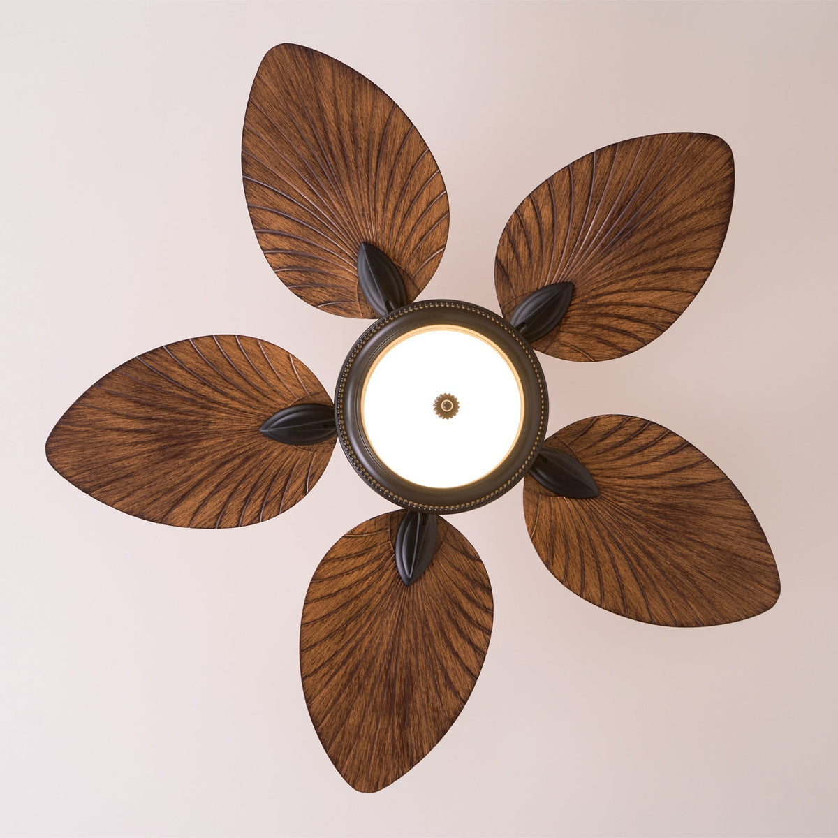 Ventilateur de plafond en bois tropical avec éclairage – télécommande 6 vitesses | Sansoti
