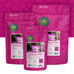 Kornrade – Agrostemma githago
