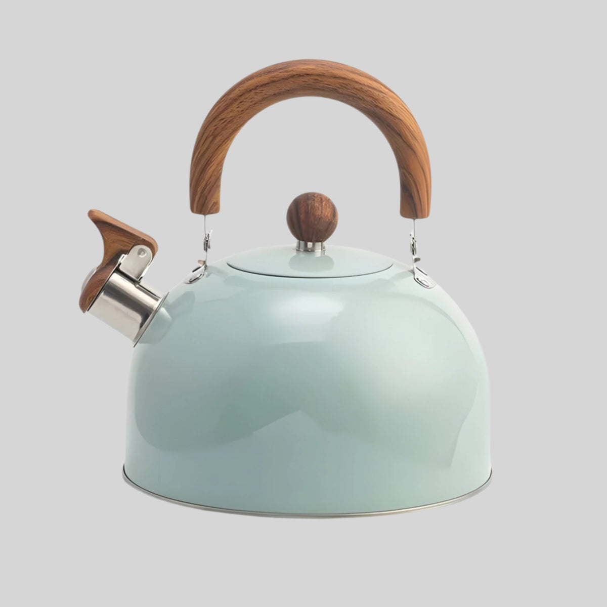 Whistling Kettle for Induction 2.5L – Elegant Stainless Steel Water Kettle with Safe Handle | Sansoti