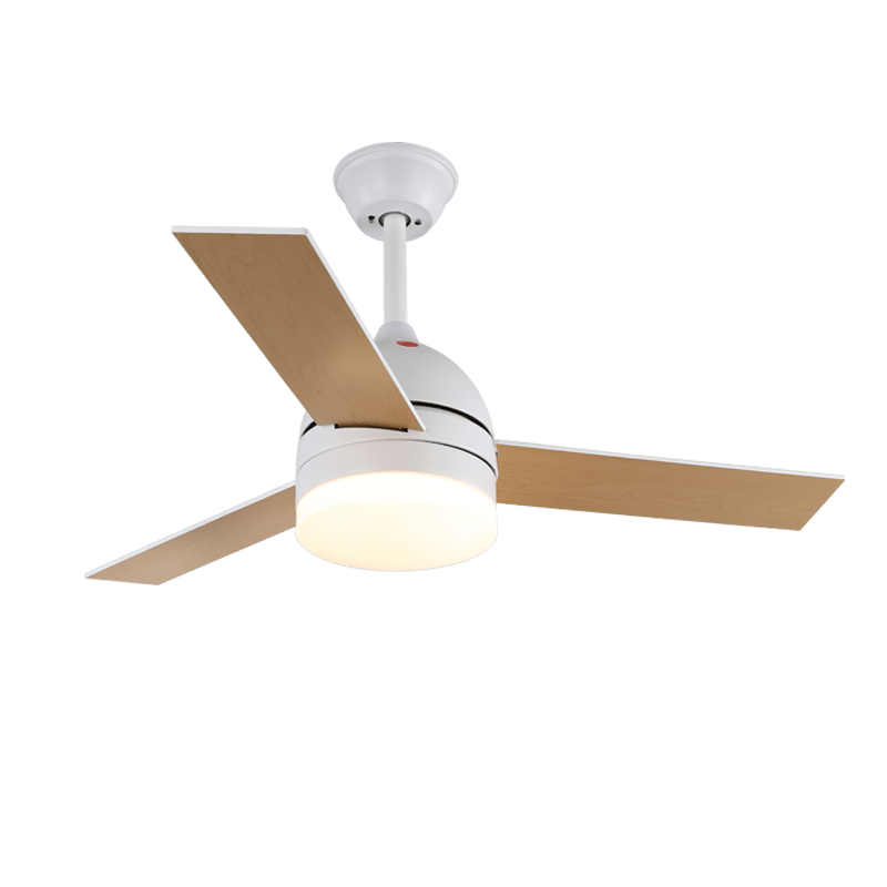 Minimalist Ceiling Fan with Lighting — Selena | Sansoti