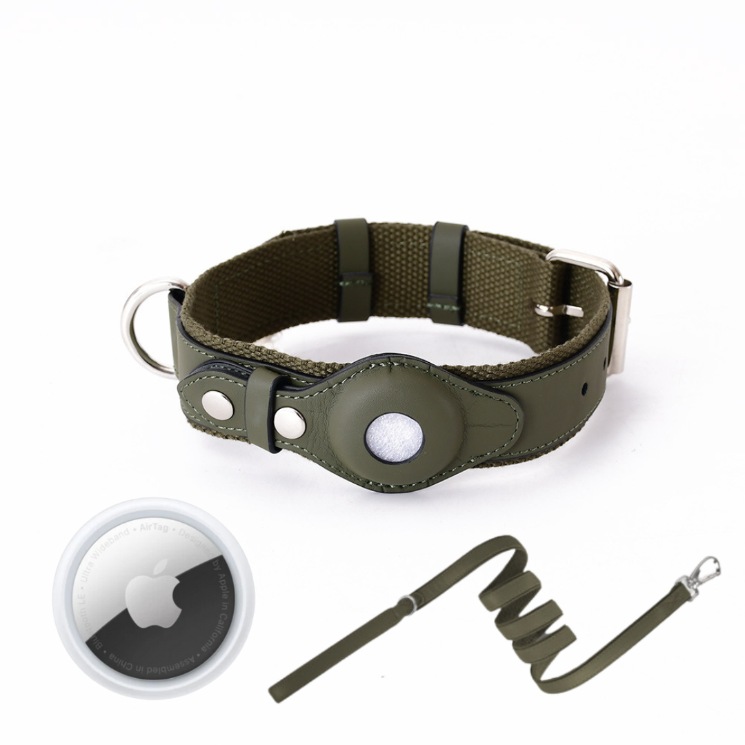 GPS Dog Collar with Worldwide Tracking Without Subscription for Safe Walks and Full Control Over Your Dog | Sansoti