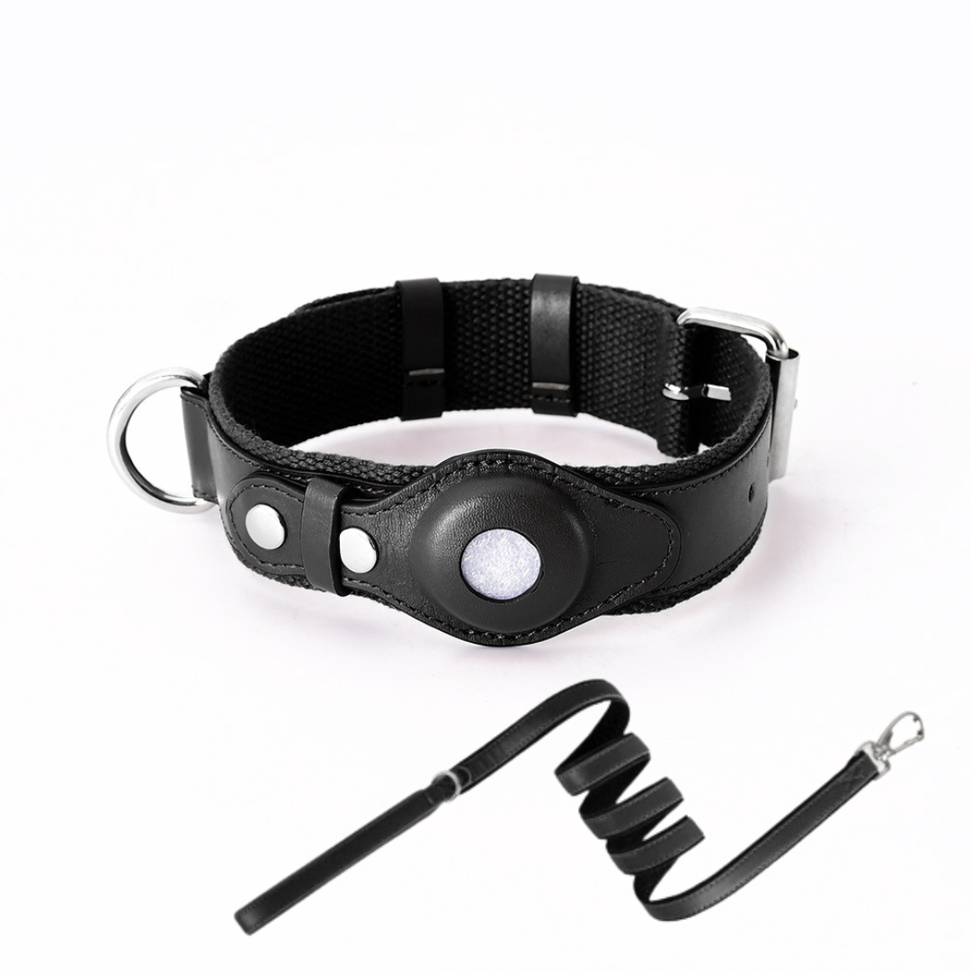 GPS Dog Collar with Worldwide Tracking Without Subscription for Safe Walks and Full Control Over Your Dog | Sansoti