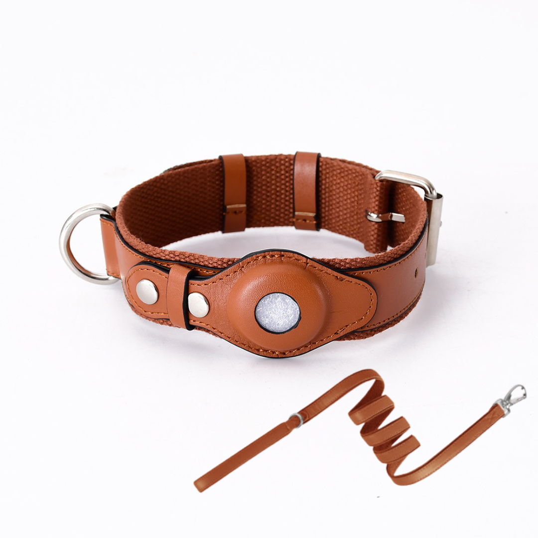 GPS Dog Collar with Worldwide Tracking Without Subscription for Safe Walks and Full Control Over Your Dog | Sansoti