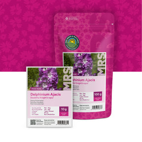 Sommerrittersporn – Delphinium ajacis