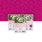 Echter Baldrian – Valeriana officinalis
