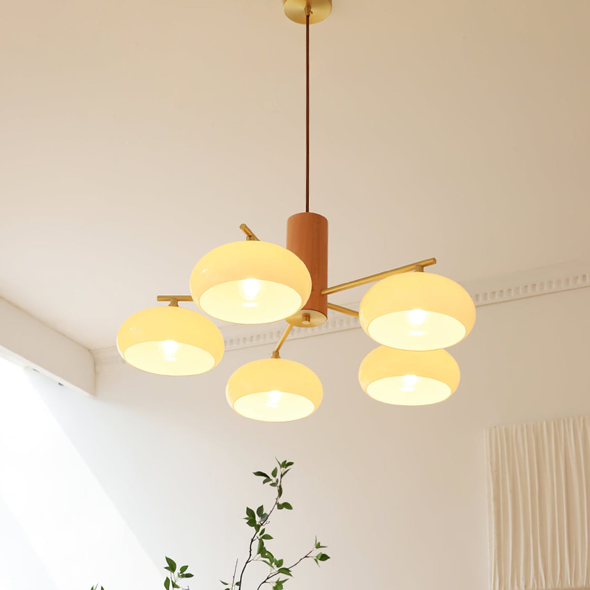 Ovale Design Kroonluchter Met Glazen Kappen En Messing Details Voor Woonkamer En Eetkamer | Sansoti