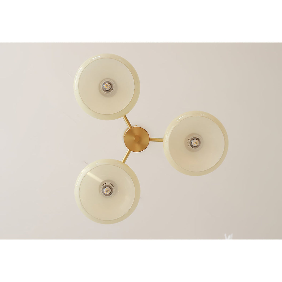 Ovale Design Kroonluchter Met Glazen Kappen En Messing Details Voor Woonkamer En Eetkamer | Sansoti