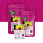 Saat-Wucherblume – Chrysanthemum segetum
