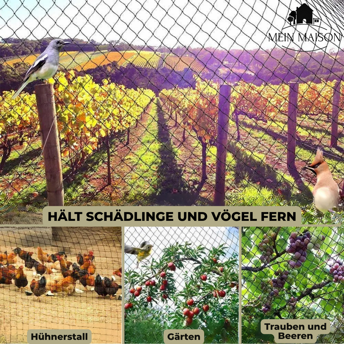 Filet de protection de jardin résistant aux UV – Moustiquaire à mailles fines pour plantes, arbustes et arbres – Protection des plantes contre les oiseaux et les nuisibles | Sansoti