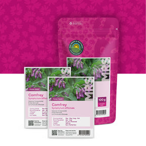Echte Beinwell – Symphytum officinale