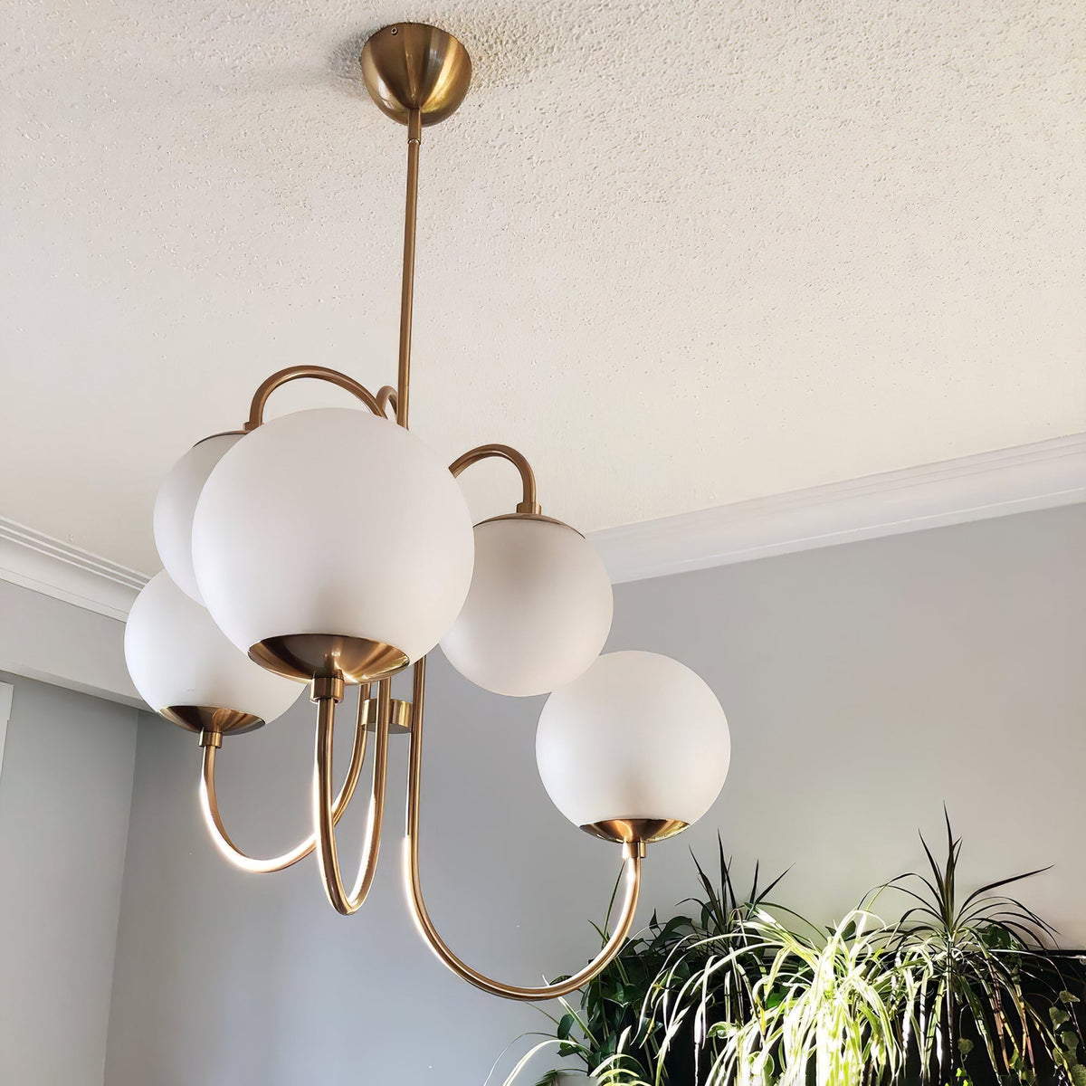 Lustre Col de Cygne Ø76 cm – Suspension 8 Lumières avec Boules en Verre Or/Noir | Sansoti