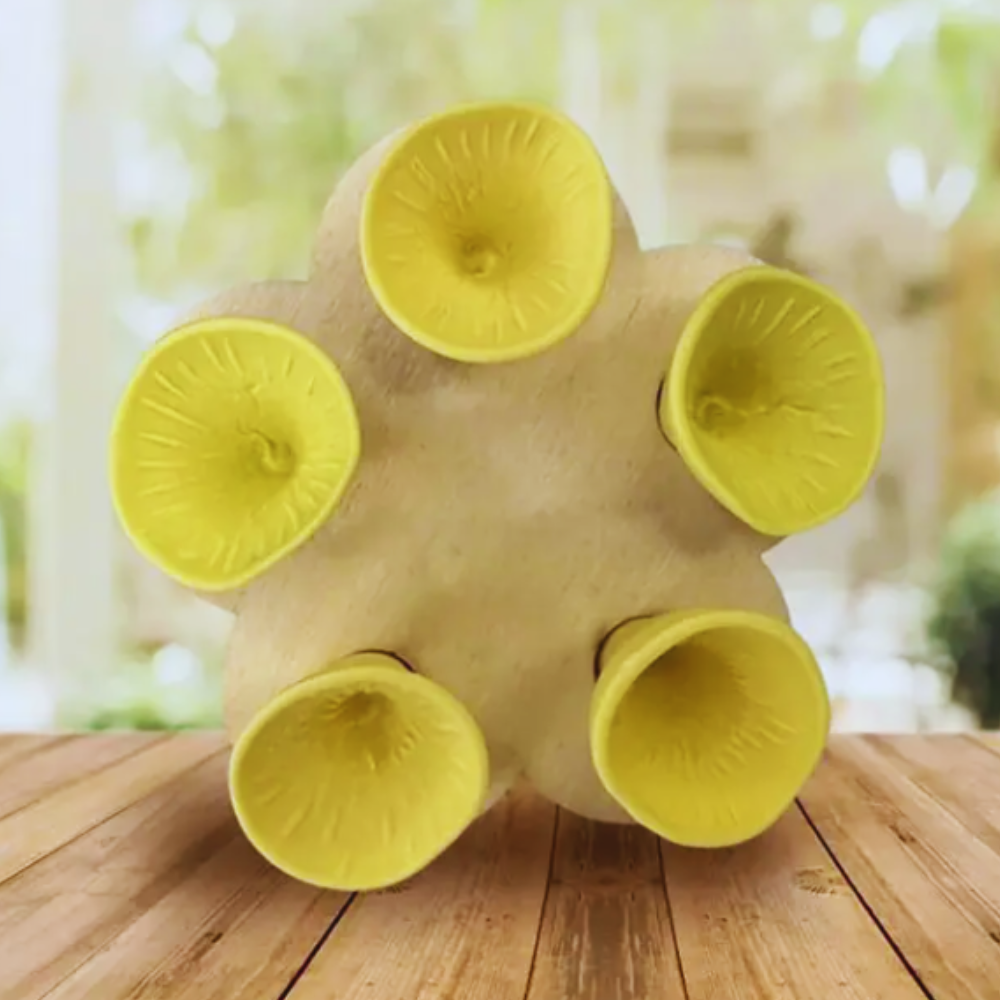 Futterstation für Bienen und Schmetterlinge – Set mit 5 Trinkbechern – Gartenwasserquelle für Bestäuber – Hilft Bienen zu hydratisieren – Umweltfreundliches Material – Ideal für bienenfreundlichen Garten | Sansoti