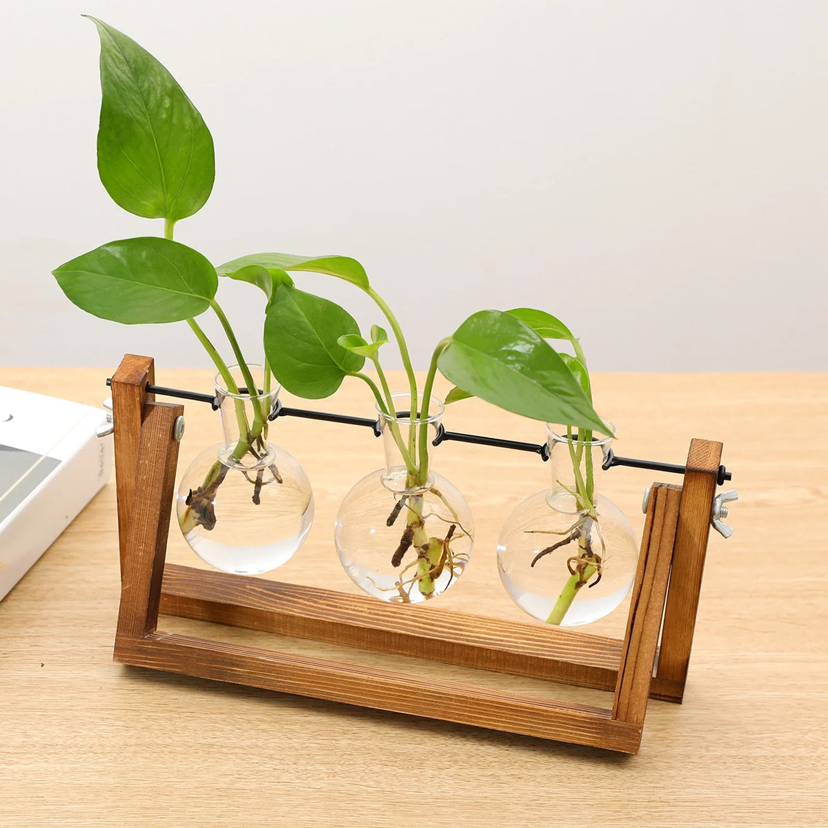 Plant Propagator Stand Wood & Glass Cutting Holder Vintage Style for Houseplants | Sansoti