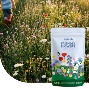 Friendly Flowers – Einheimische Spielwiesen-Blumenmischung