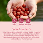 let-love-grow-flower-seeds-bombs-manual [de]