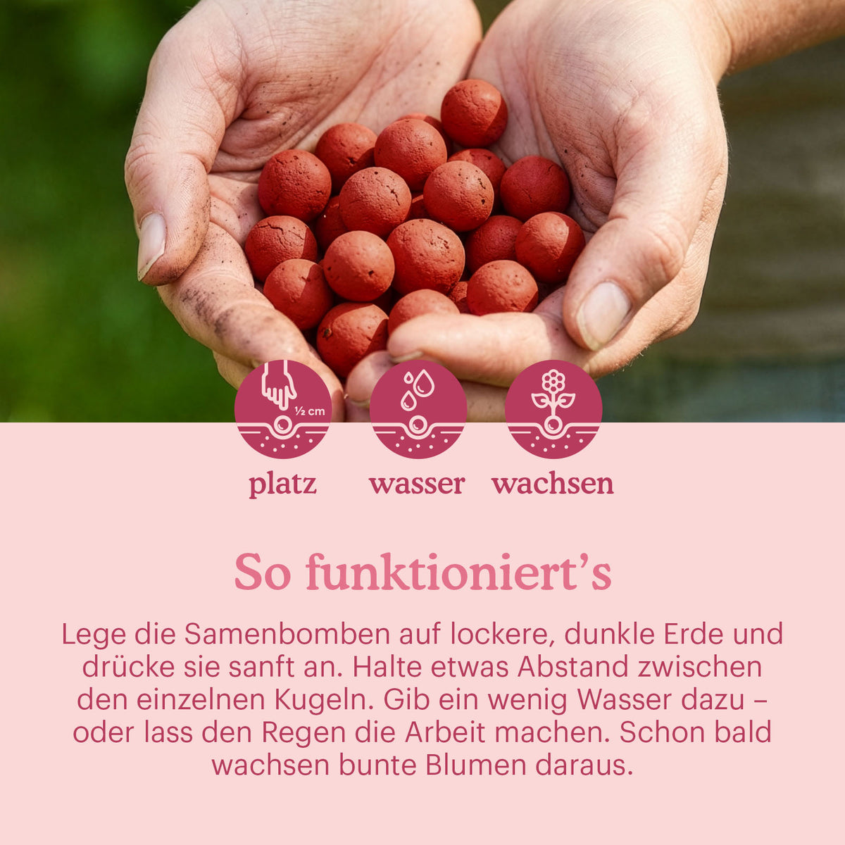 let-love-grow-flower-seeds-bombs-manual [de]