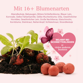 let-love-grow-flower-seeds-bombs-content [de]