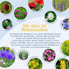 Joyfields Regionale Wildblumenmischung Deutschland - UG21 Hessisches Bergland [de]