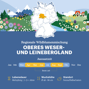Joyfields Regionale Wildblumenmischung Deutschland - UG6 Oberes Weser- und Leinebergland [de]
