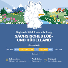 Joyfields Regionale Wildblumenmischung Deutschland - UG20 Sächsisches Löß- & Hügelland [de]
