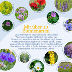 Joyfields Regionale Wildblumenmischung Deutschland - UG13 Schwäbische Alb [de]