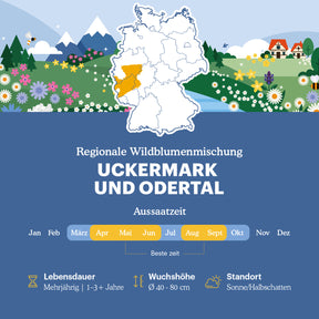 Joyfields Regionale Wildblumenmischung Deutschland - UG22 Uckermark und Odertal [de]