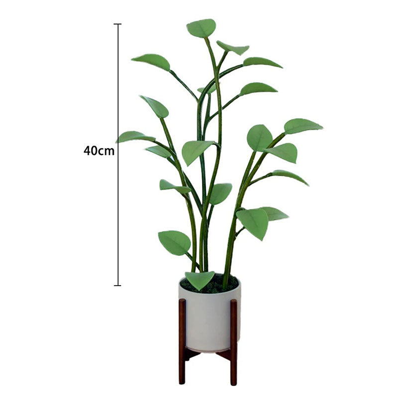 LED-Pflanzenlampe 40 cm mit Farbwechsel, USB-Stimmungslicht und Nachtbeleuchtung – Dekorative Beleuchtung für Wohnzimmer und Schreibtisch | Sansoti
