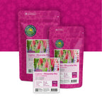 Lupine – Lupinus Minarette Mix