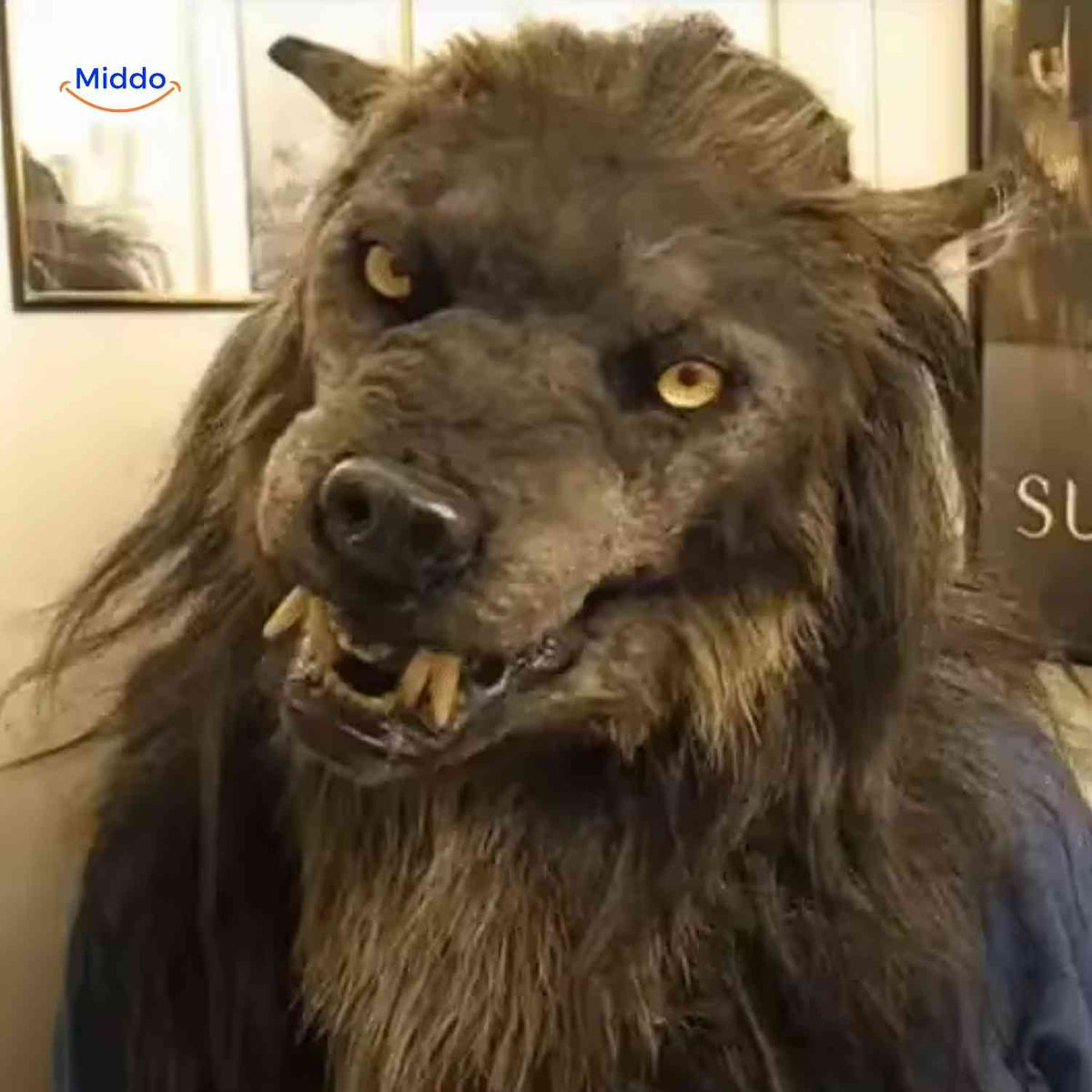 Lichtgevend Wolvenmasker 60cm Latex Bruin Halloween Cosplay Themafeesten Kostuum Volwassenen Tieners | Sansoti
