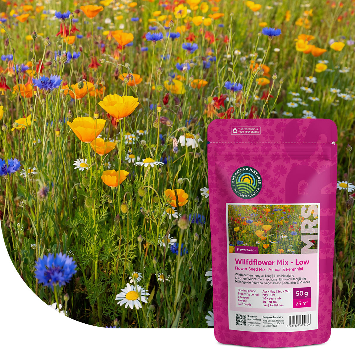 Niedrige Wildblumenmischung 1- und mehrjährig