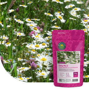 Margeritenmischung 2 – Naturmischung