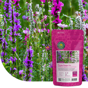 Wildblumenmischung violett – 14 Sorten