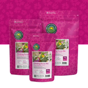 Kletterpflanzen Samen-Mischung