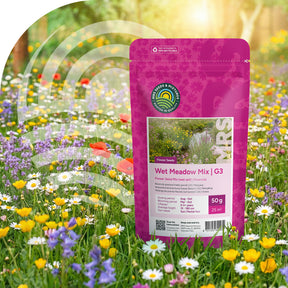 Typ G3 – Feuchtwiese – Blumenmischung