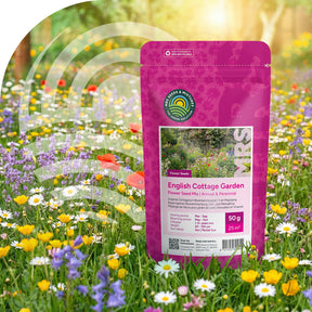 Englischer Cottagegarten Blumenmischung