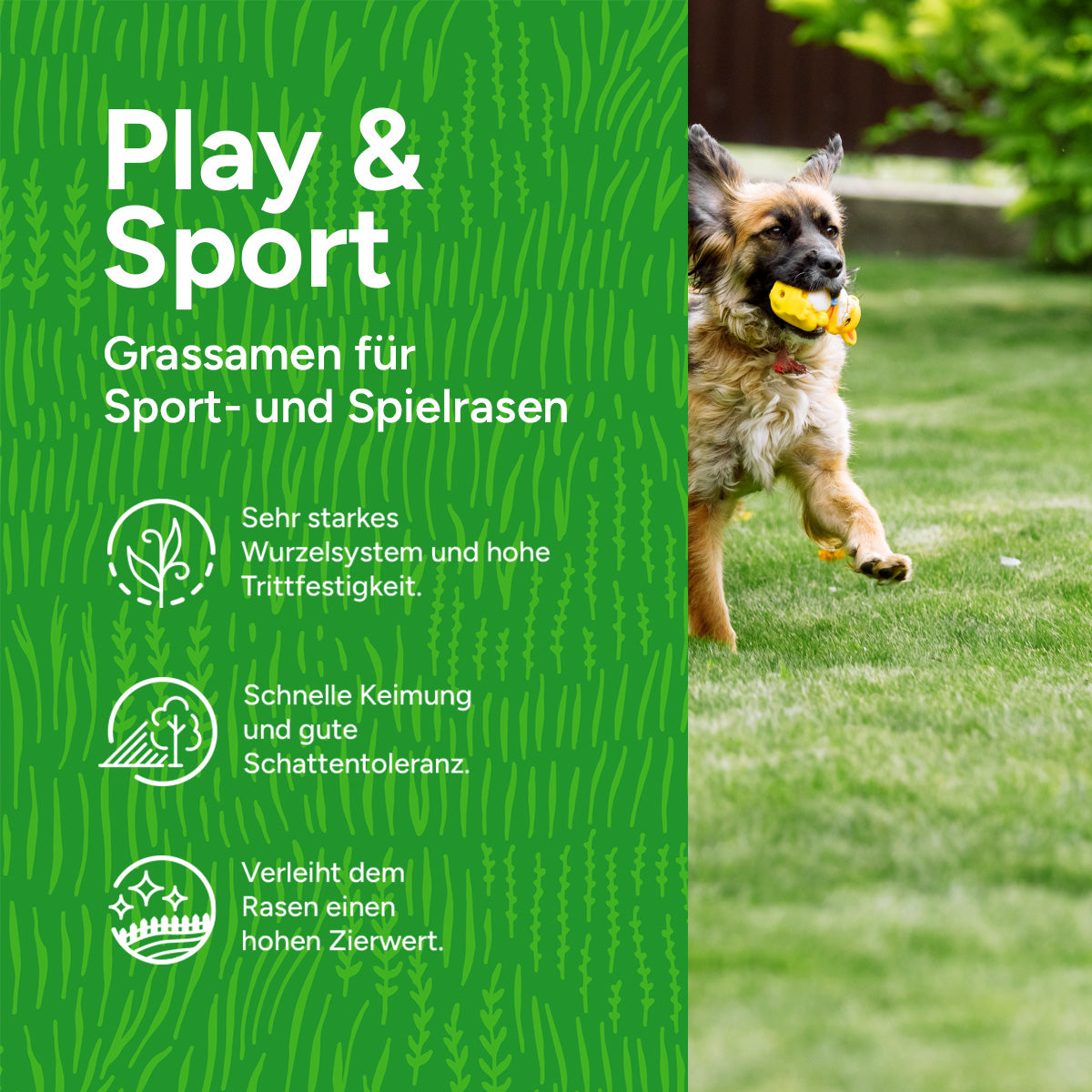 [de]