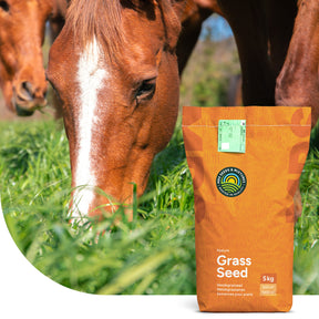 Horse – Recovery Mix | Pferdeweide Nachsaat