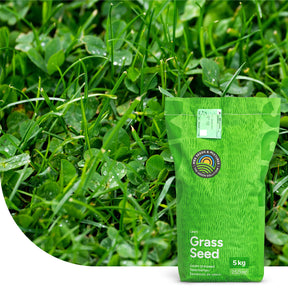 Clover Lawn – Grassamen mit Mikroklee