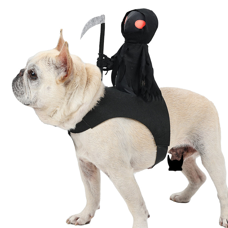 Pet Knight Costume Halloween Dog Cat Party Dress-Up Costume Funny Warrior Outfit Carnival Party | Sansoti