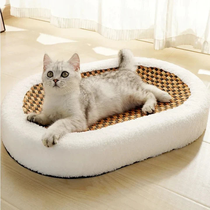 Cat Scratcher – Comfortable Resting Bed with Scratching Surface | Sansoti