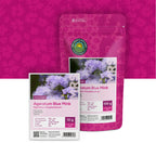 Leberbalsam – Ageratum houstonianum mix