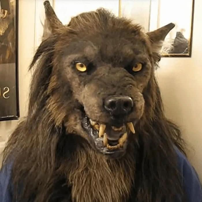 Realistic Werewolf Mask with Synthetic Hair for Halloween, Carnival, Cosplay, Costume Parties, and Horror | Sansoti