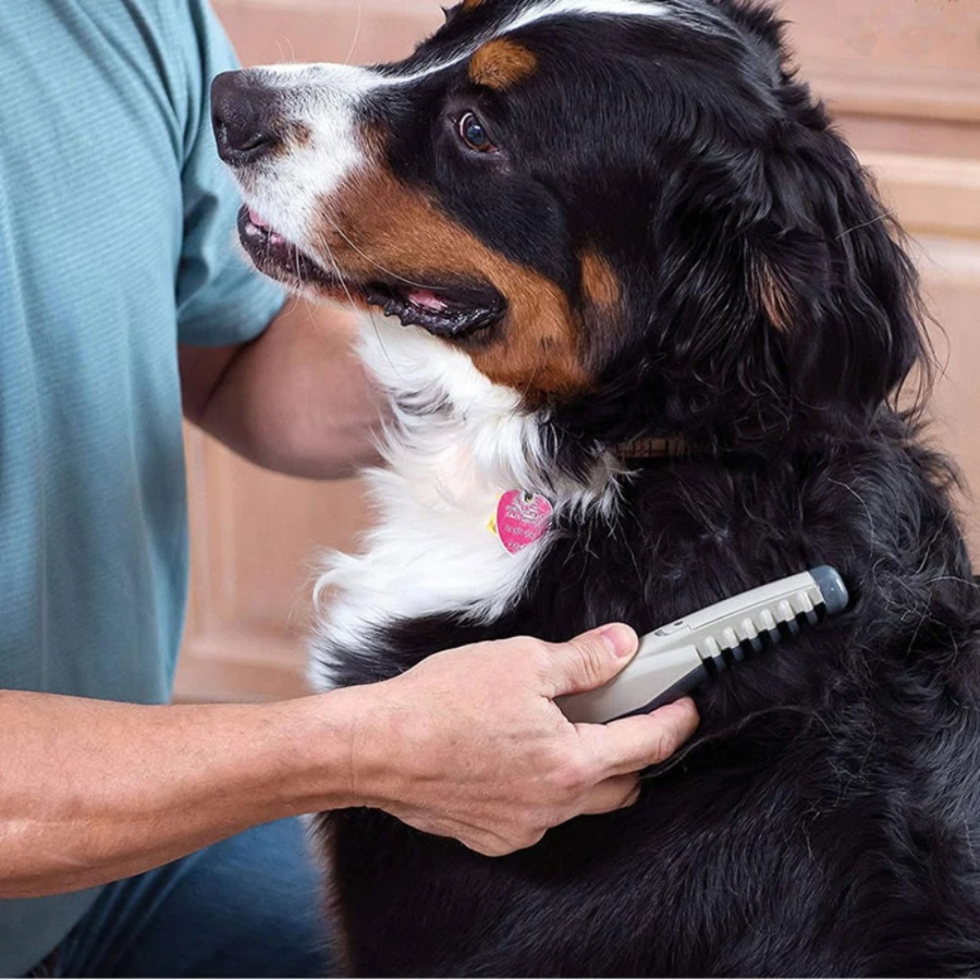 Detangling Fur Comb for Dogs and Cats - Painlessly Remove Knots from All Coat Types | Sansoti