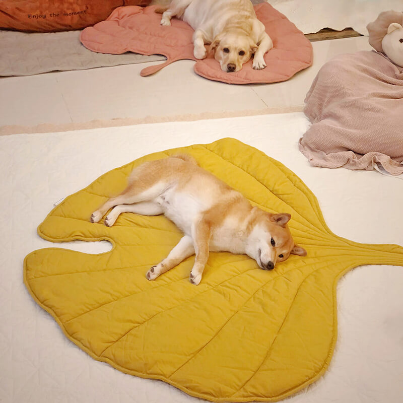 Leaf Pattern Dog Blanket 120×110 cm Anthurium Pink – Soft Pet Blanket Protective Cover for Sofa and Armchair | Sansoti